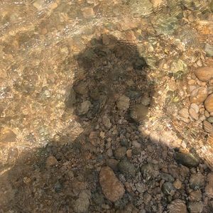 Meet your Posher, Blaze